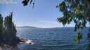 ./images/koeye/fitz-hugh/20260811/fitz-hugh20260811_142002M.jpg