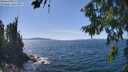 ./images/koeye/fitz-hugh/20260811/fitz-hugh20260811_142501M.jpg