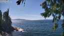 ./images/koeye/fitz-hugh/20260811/fitz-hugh20260811_143001M.jpg