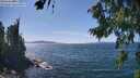 ./images/koeye/fitz-hugh/20260811/fitz-hugh20260811_143501M.jpg