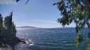 ./images/koeye/fitz-hugh/20260811/fitz-hugh20260811_144002M.jpg