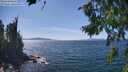 ./images/koeye/fitz-hugh/20260811/fitz-hugh20260811_144501M.jpg