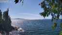 ./images/koeye/fitz-hugh/20260811/fitz-hugh20260811_145001M.jpg