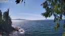 ./images/koeye/fitz-hugh/20260811/fitz-hugh20260811_145501M.jpg