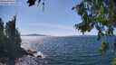 ./images/koeye/fitz-hugh/20260811/fitz-hugh20260811_150001M.jpg