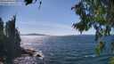 ./images/koeye/fitz-hugh/20260811/fitz-hugh20260811_151001M.jpg