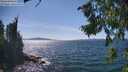 ./images/koeye/fitz-hugh/20260811/fitz-hugh20260811_151502M.jpg