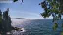 ./images/koeye/fitz-hugh/20260811/fitz-hugh20260811_152001M.jpg