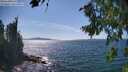 ./images/koeye/fitz-hugh/20260811/fitz-hugh20260811_152502M.jpg