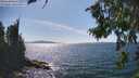 ./images/koeye/fitz-hugh/20260811/fitz-hugh20260811_154001M.jpg
