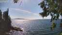 ./images/koeye/fitz-hugh/20260811/fitz-hugh20260811_154502M.jpg