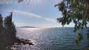 ./images/koeye/fitz-hugh/20260811/fitz-hugh20260811_155501M.jpg