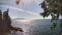 ./images/koeye/fitz-hugh/20260811/fitz-hugh20260811_161001M.jpg