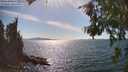 ./images/koeye/fitz-hugh/20260811/fitz-hugh20260811_162001M.jpg