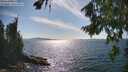 ./images/koeye/fitz-hugh/20260811/fitz-hugh20260811_163501M.jpg