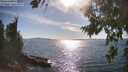 ./images/koeye/fitz-hugh/20260811/fitz-hugh20260811_172001M.jpg