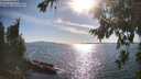 ./images/koeye/fitz-hugh/20260811/fitz-hugh20260811_174001M.jpg