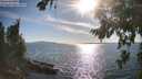 ./images/koeye/fitz-hugh/20260811/fitz-hugh20260811_175001M.jpg