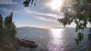 ./images/koeye/fitz-hugh/20260811/fitz-hugh20260811_175502M.jpg