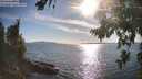 ./images/koeye/fitz-hugh/20260811/fitz-hugh20260811_180001M.jpg