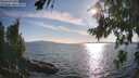 ./images/koeye/fitz-hugh/20260811/fitz-hugh20260811_182501M.jpg