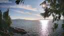 ./images/koeye/fitz-hugh/20260811/fitz-hugh20260811_183001M.jpg