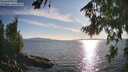 ./images/koeye/fitz-hugh/20260811/fitz-hugh20260811_183501M.jpg