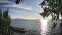 ./images/koeye/fitz-hugh/20260811/fitz-hugh20260811_184001M.jpg