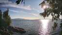 ./images/koeye/fitz-hugh/20260811/fitz-hugh20260811_184501M.jpg