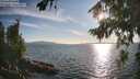 ./images/koeye/fitz-hugh/20260811/fitz-hugh20260811_185001M.jpg