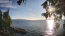 ./images/koeye/fitz-hugh/20260811/fitz-hugh20260811_191501M.jpg