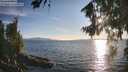 ./images/koeye/fitz-hugh/20260811/fitz-hugh20260811_192002M.jpg