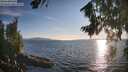 ./images/koeye/fitz-hugh/20260811/fitz-hugh20260811_192501M.jpg