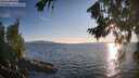 ./images/koeye/fitz-hugh/20260811/fitz-hugh20260811_193501M.jpg