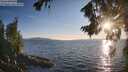 ./images/koeye/fitz-hugh/20260811/fitz-hugh20260811_194501M.jpg