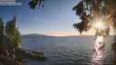 ./images/koeye/fitz-hugh/20260811/fitz-hugh20260811_195501M.jpg