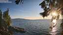./images/koeye/fitz-hugh/20260811/fitz-hugh20260811_200002M.jpg