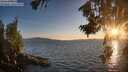./images/koeye/fitz-hugh/20260811/fitz-hugh20260811_202001M.jpg