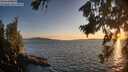 ./images/koeye/fitz-hugh/20260811/fitz-hugh20260811_203501M.jpg