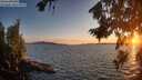 ./images/koeye/fitz-hugh/20260811/fitz-hugh20260811_204501M.jpg
