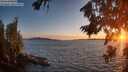 ./images/koeye/fitz-hugh/20260811/fitz-hugh20260811_205002M.jpg
