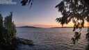 ./images/koeye/fitz-hugh/20260811/fitz-hugh20260811_210001M.jpg