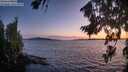 ./images/koeye/fitz-hugh/20260811/fitz-hugh20260811_211502M.jpg