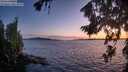 ./images/koeye/fitz-hugh/20260811/fitz-hugh20260811_212001M.jpg