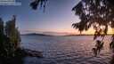./images/koeye/fitz-hugh/20260811/fitz-hugh20260811_212501M.jpg