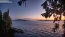 ./images/koeye/fitz-hugh/20260811/fitz-hugh20260811_213001M.jpg
