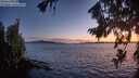 ./images/koeye/fitz-hugh/20260811/fitz-hugh20260811_213501M.jpg
