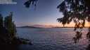 ./images/koeye/fitz-hugh/20260811/fitz-hugh20260811_214001M.jpg
