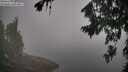 ./images/koeye/fitz-hugh/20260812/fitz-hugh20260812_085501M.jpg