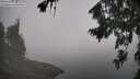 ./images/koeye/fitz-hugh/20260812/fitz-hugh20260812_093001M.jpg
